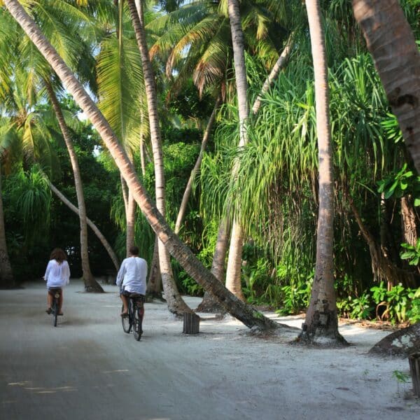 Complimentary Inclusions at Soneva Fushi - Bicycles